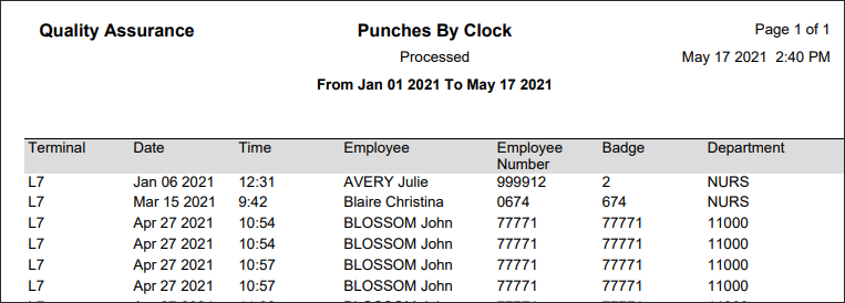 RPH - Punches by Clock - Report